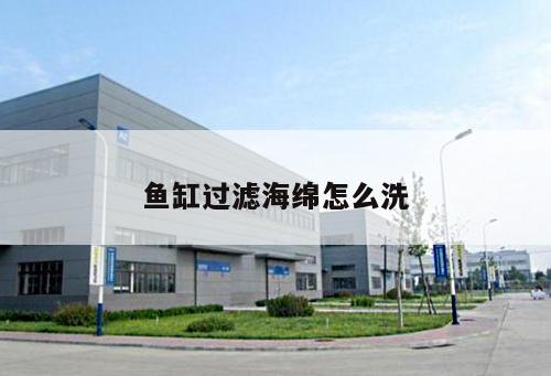 魚缸過濾海綿怎么洗