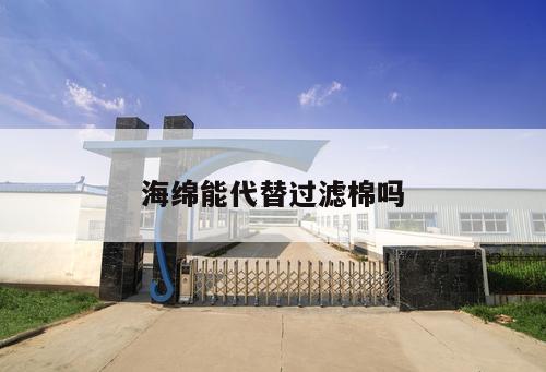 海綿能代替過(guò)濾棉嗎