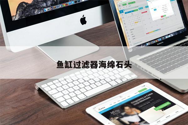 魚缸過濾器海綿石頭