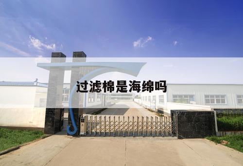 過(guò)濾棉是海綿嗎